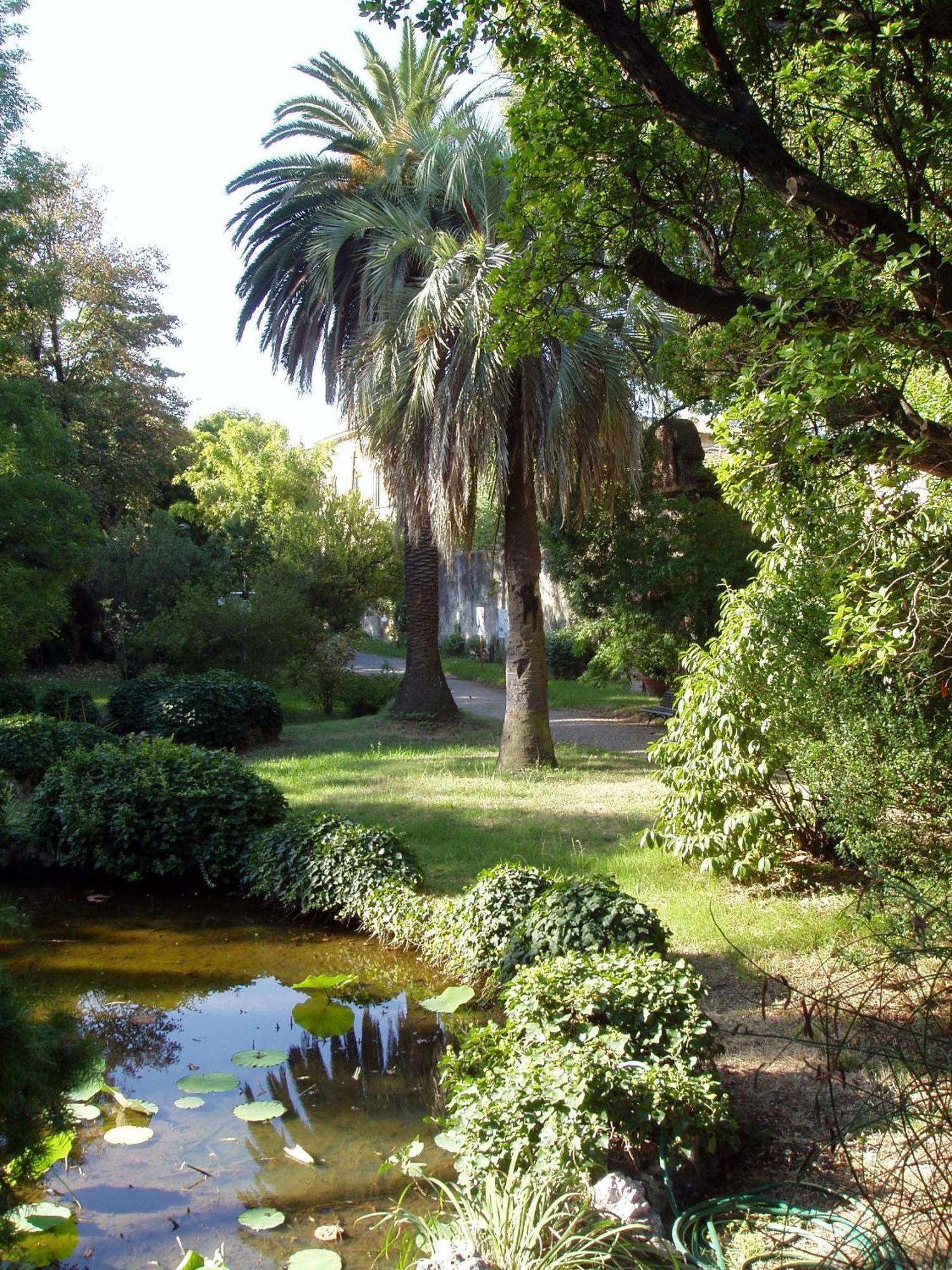 Hagley Park Hidden Gem Apartment Christchurch Exterior photo